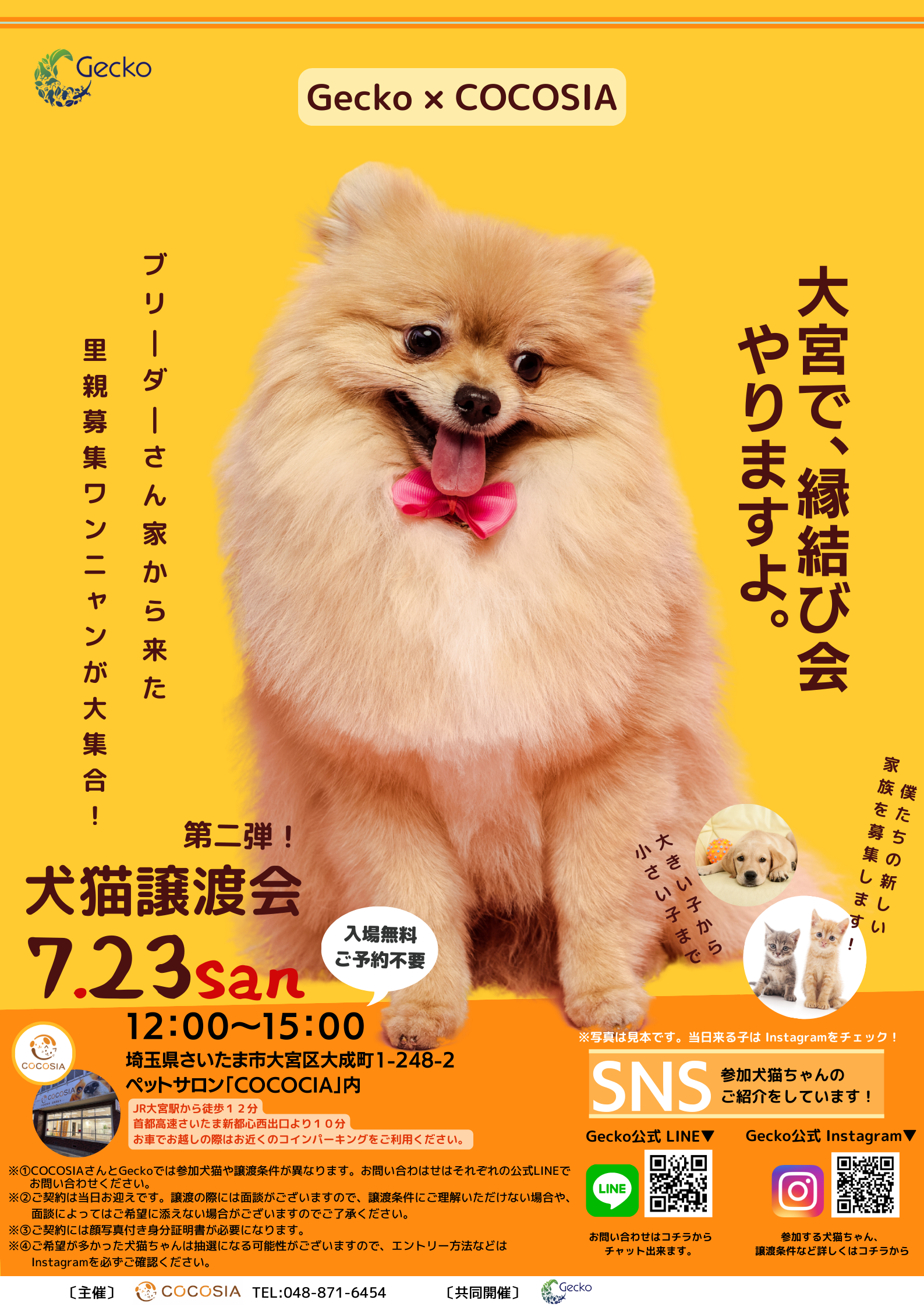 7月23日(日) 大宮縁結び会のお知らせ - Gecko縁結び会|犬猫の里親募集-北海道・横浜・東京