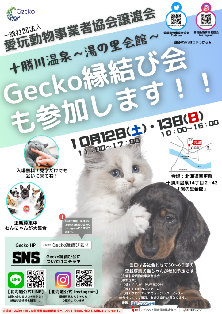 一般社団法人 愛玩動物事業者協会の譲渡会 10月12日(土)・13日(日 